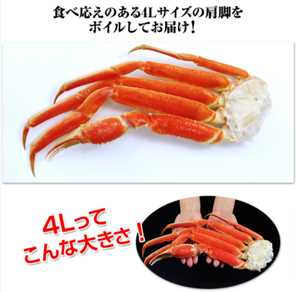 477：大型4Lボイルずわいがに肩脚7～8肩-総重量約2-5kg-厳選特産品専門店-匠本舗 (3)